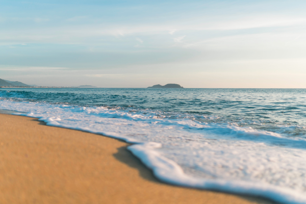 Praia da Rosa Verano 2027